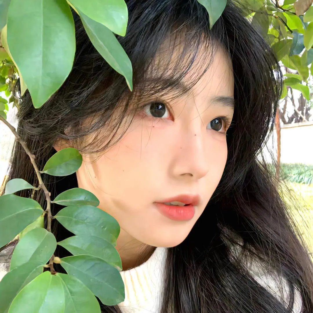 女孩的灵缇犬